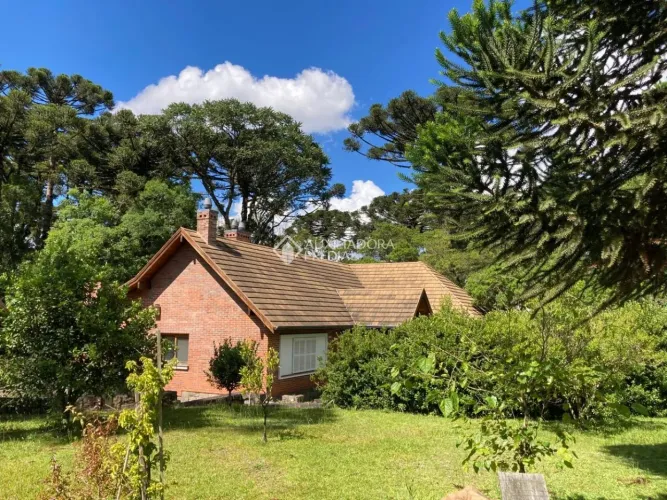 2 casas em 2 terrenos vizinhos na Vila Suzana com potencial para construção de prédios e c