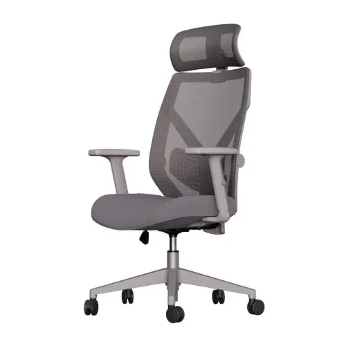 Cadeira Ergonômica Albani