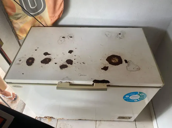 Vendo freezer *17