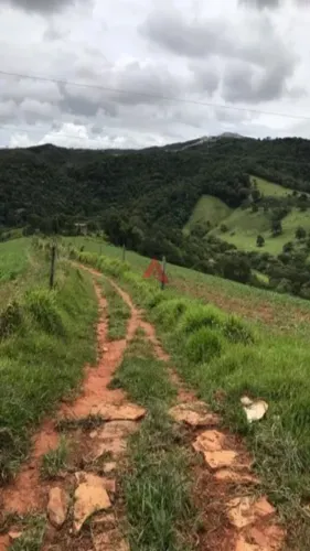 Fazenda Residencial à venda, Alto Do Cruzeiro, Três Corações - FA0008.