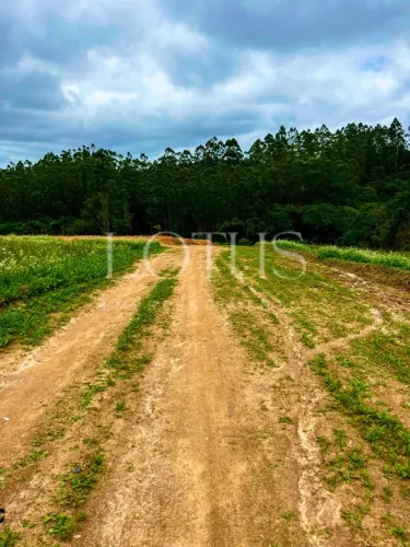 82C- LOTE COTIA 500M ÁREA NOBRE
