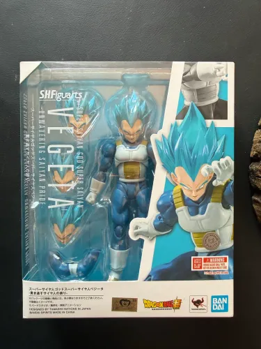 SUPER SADYAN GOD SUPER SAIYAN VEGETA
