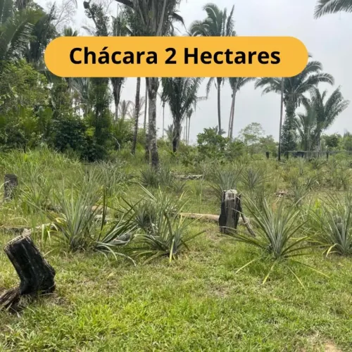 Chácara com 2 Hectares a venda na Área Rural de Porto Velho/RO