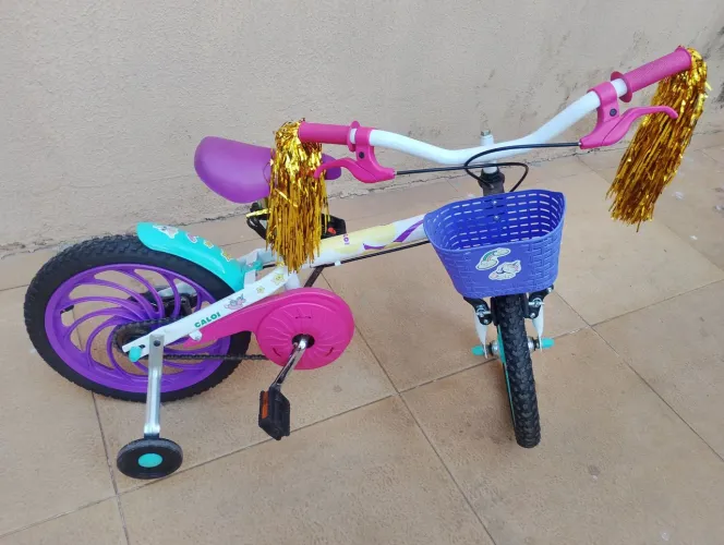 Bicicleta calou Ceci 16