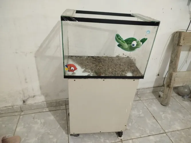 Aquário