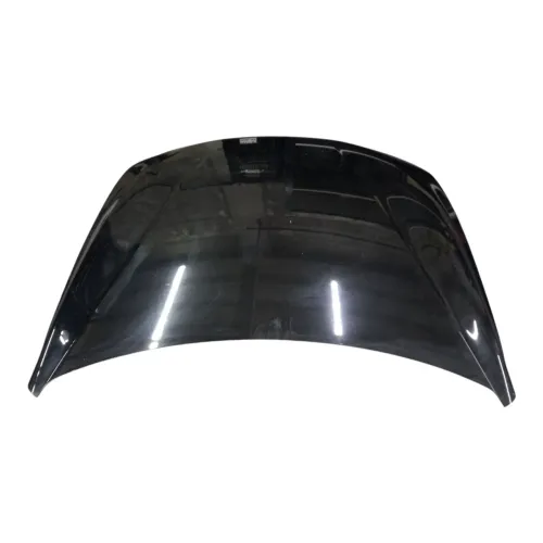 Capô Bmw 320i 2013/2018