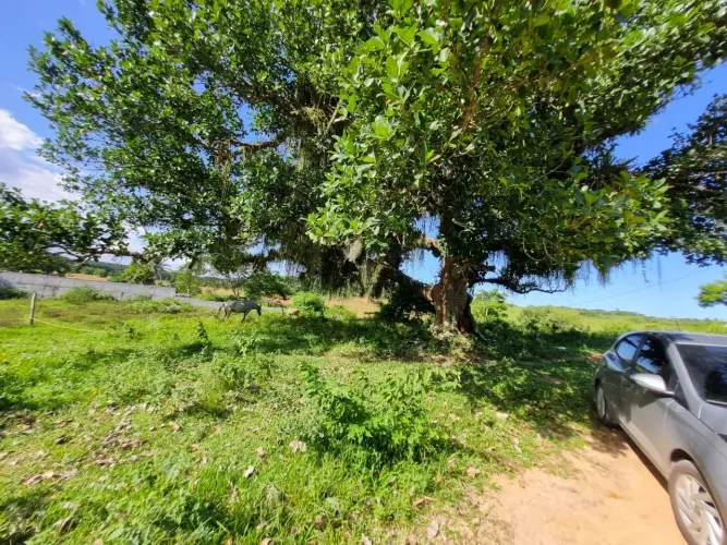 Vendo excelente Lote no Vale Encantado