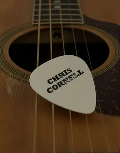 Palheta de Guitarra Chris Cornell Audioslave - Dunlop