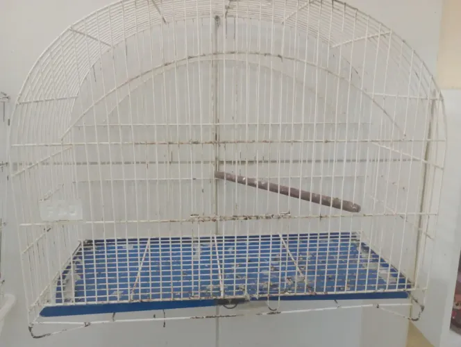 Gaiola