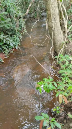 Terra boa de água em Conceição do Araguaia 