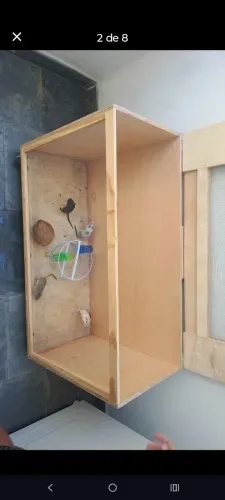 Terrário + 4 gerbil