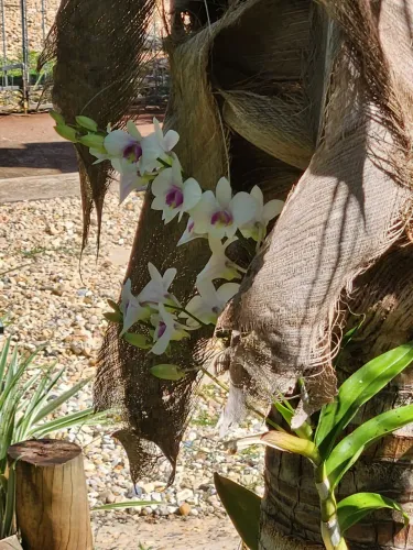Rancho Condomínio Marina Bonita 