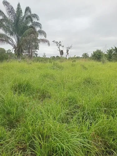 Vende-se Terra 7 Alquiere