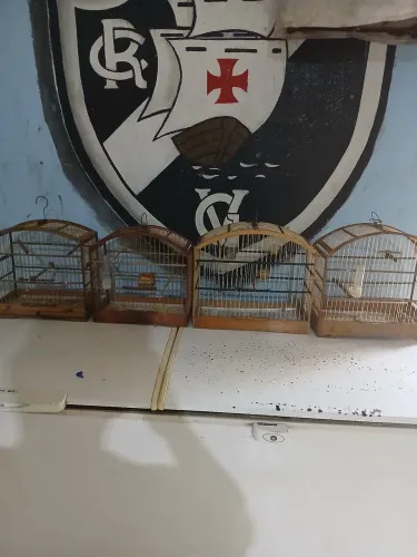 Quatro gaiolas pequenas