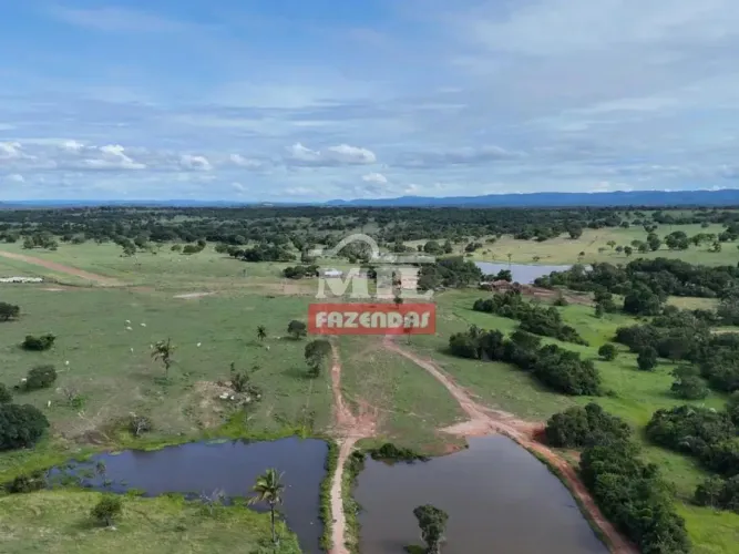 Fazenda 198 Alqueire (958 hectares) Araguapaz - GO