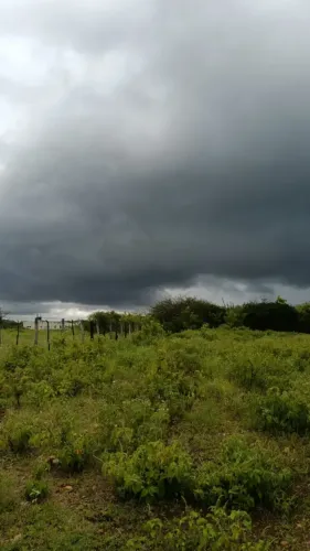 fazenda com 183 hectares com uma mega estrutura completa e com uma excelente localização