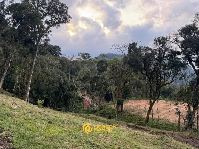 Área de 2,0 hectares em Rio Rufino/ SC
