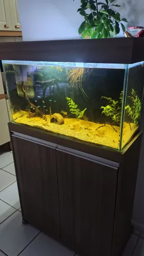 Lindo aquário completo + móvel em MDF
