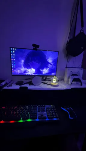 Monitor