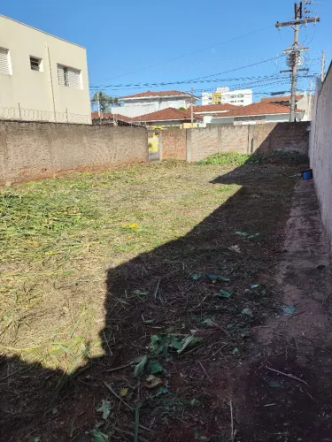 Limpeza de terrenos e calçadas com roçadeira costal