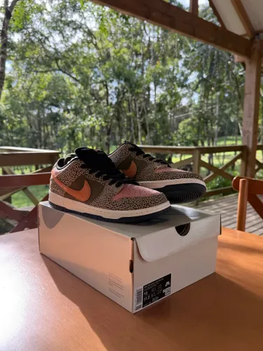 Nike SB dunk low Arts-Rec