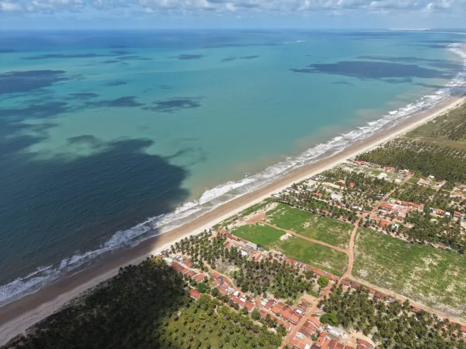 ÁREA À BEIRA MAR EM CORURIPE, LITORAL SUL DE ALAGOAS
