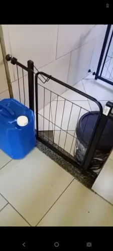 Três portões pet