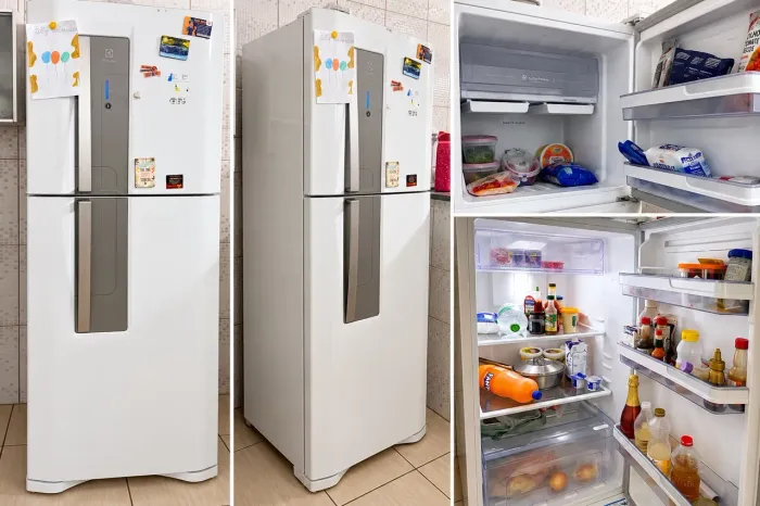 Electrolux TF42 382L Frost Free SEMINOVA