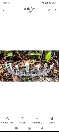 Tiara para noiva 007