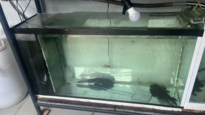 Aquário 150L