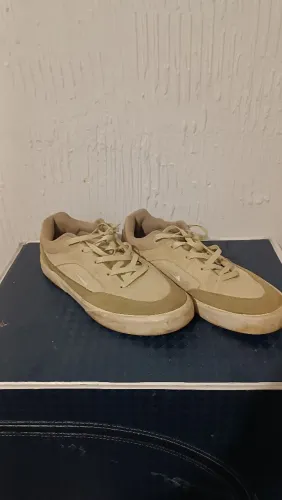 Sapato Nike Skateboard 42 