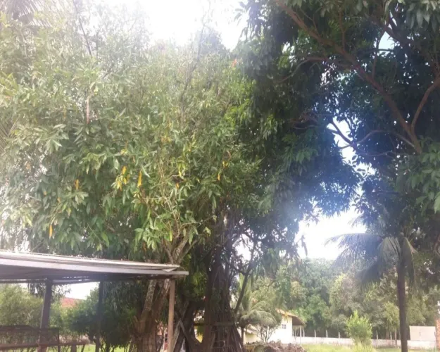 TERRENO RESIDENCIAL em SÃO JOSÉ DE RIBAMAR - MA, PARQUE JAIR