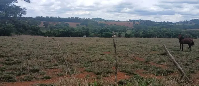 Chácara em Trindade/GO: Natureza, Conforto, Tranquilidade e ótima Localização!