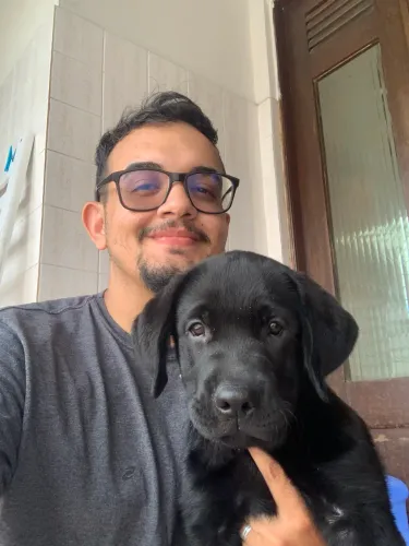 Adestrador de cães - Adestramento positivo na sua casa!