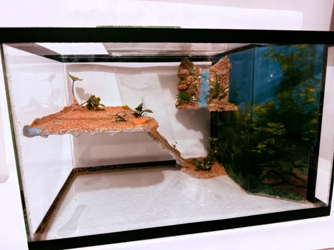 Aquaterrario novo com sump de filtragem e cascata de água decorado 