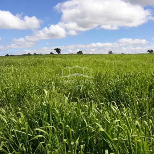 VENDO EXCELENTE  600 HECTARES FAZENDA PRÓXIMO A REGIÃO DE SÃO JOÃO DA PONTE MG!!