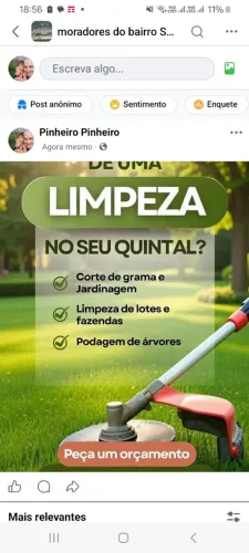 Limpeza de terrenos corte de grama jardinagem e serviços em geral