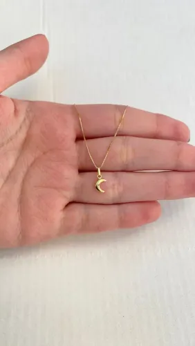 PINGENTE LUA OURO 18K