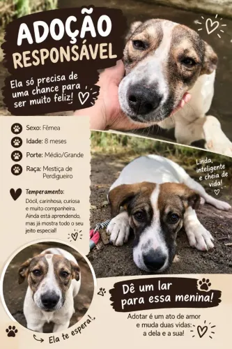 Adoção responsável