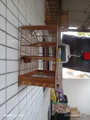 Gaiola baianinha pequena 