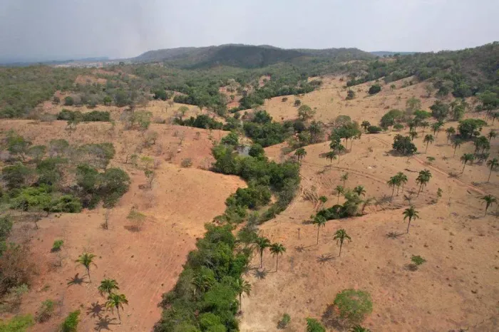 Fazenda para cria de gado em Santa Cruz de Goiás, GO