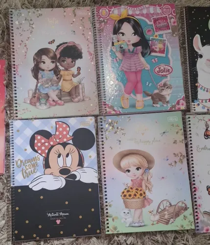 Cadernos 1 matéria ( 80 folhas)