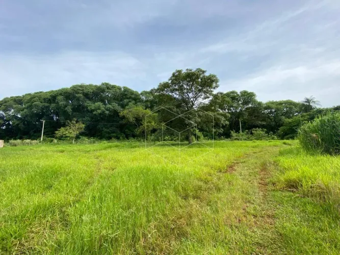 Sítio com 2 dormitórios à venda, 15011 m² por R$ 1.500.000,00 - Pouso Alegre de Baixo - Ja