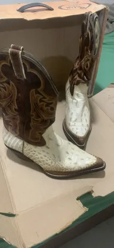Bota de Couro de Jacaré Nr41