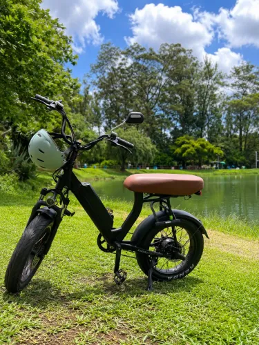 Bike lev cruiser