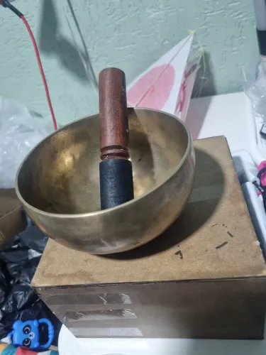 Sino tibetano 15cm 7 meta3