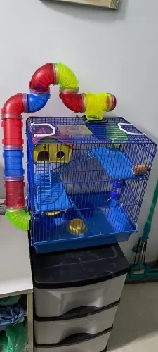 Gaiola para hamster completa.