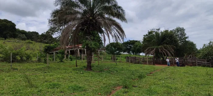 Fazenda em caldazinha