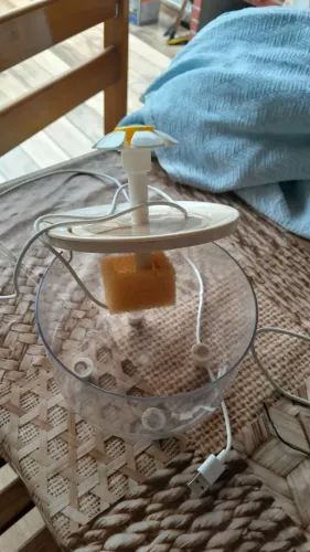 Bebedouro de gato
