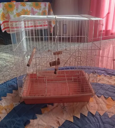 Vendo